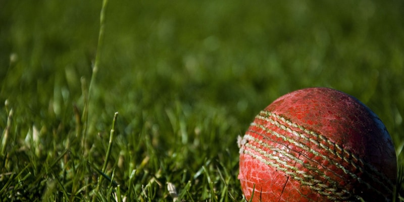 Find a cricket players near you